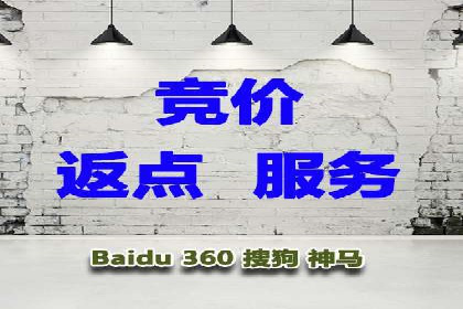 成功案例：网络推广与竞价广告的完美结合
